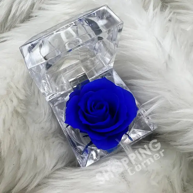 Blue Color Real Rose Preserved Flower